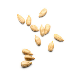 Natural sunflower seeds isolated on white background