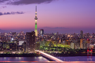 Fototapeta na wymiar Tokyo, Japan skyilne at