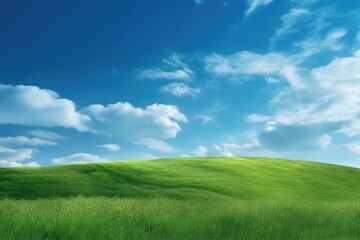 Fototapeta na wymiar Green lawn under blue sky and white clouds