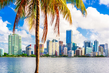 Plakat Miami, Florida, USA tropical downtown skyline.
