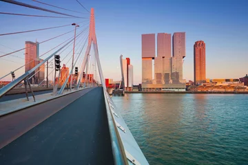 Foto op Plexiglas Image of Rotterdam, Netherlands during sunset golden hour. © Designpics