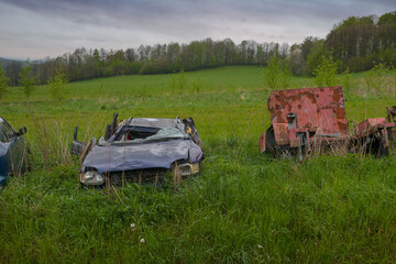 Car wrecks in abandoned meadow by the forest.