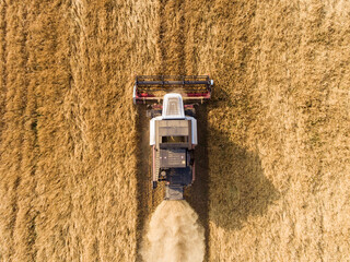 harvester on the wheat field from the top view