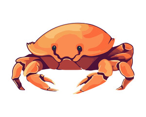 Fototapeta premium Cute cartoon crab with orange claws isolated