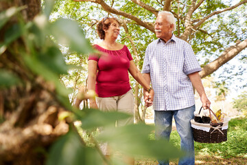 Old couple, elderly man and woman in park. Active retired seniors holding hands and walking in park...