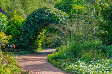 Fototapeta premium Beautiful Pathway And Plant Covered Arch In the Botanical Garden In Summer