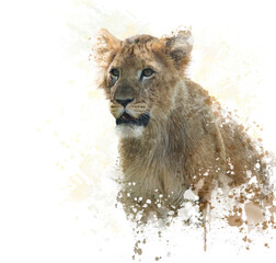 Plakat Digital painting of Lion Cub