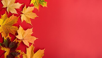 Naklejka na ściany i meble Autumn background, autumn leaves on a red background, Generative AI