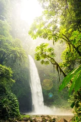 Foto op Aluminium A waterfall plumits into a deep gorge of a tropical rainforest and flows downstram with lush green vegetation surrounding. © Designpics