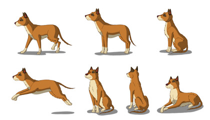 Fototapeta premium Set of Brown Dog images. Digital painting full color cartoon style illustration isolated on white background.