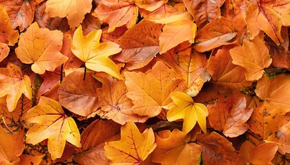 Maple leaves background, autumn background, Generative AI