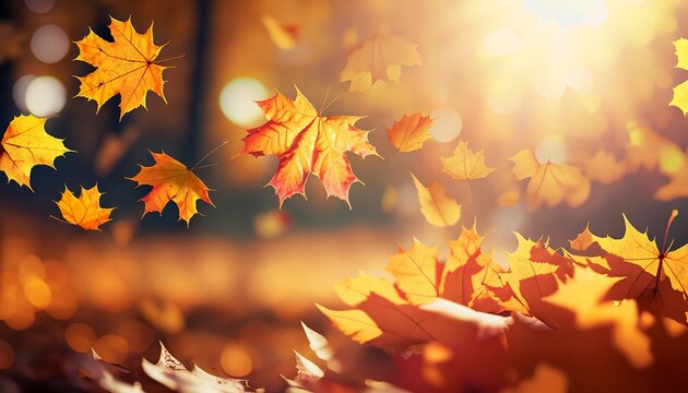Background of falling maple leaves with a defocused background, autumn background, Generative AI