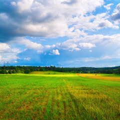 Bright sunny day in the countryside. Rural landscape. Blue sky with cumulus clouds and a field of green grass.