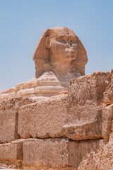 Fototapeta na wymiar sphinx in giza