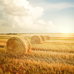 Summer Farm Scenery with Haystack on the Background of Beautiful Sunset. Agriculture Concept. Instagram Styled Toned Photo.