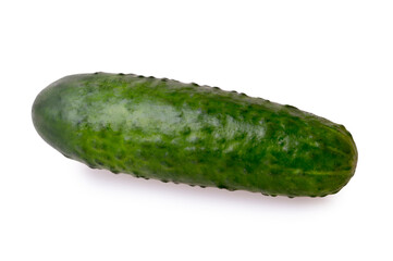 fresh cucumber