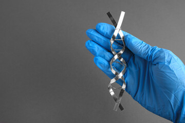 Scientist with DNA molecular chain model made of metal on grey background, closeup. Space for text
