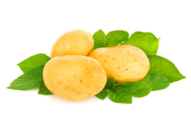 Young organic potatoes with green leaf, Isolated on white background