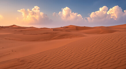Fototapeta na wymiar majestic dry desert with a beautiful sunset with clouds