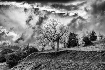 Winter Black and White photo of cloudy dramatic sky with trees