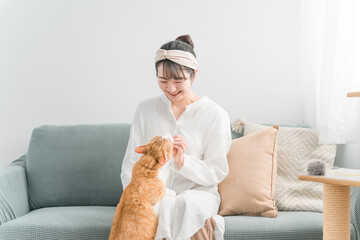 家・猫カフェで猫におやつをあげる日本人女性（餌）
