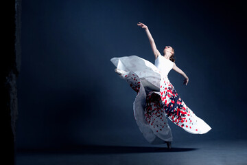 Young ballerina in a beautiful dress is dancing in a dark photostudio © Designpics