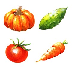Vegetables, watercolor illustration on white background