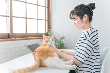 在宅勤務の仕事の邪魔をする猫とテレワークする女性(ネコハラ)
