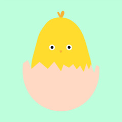 yellow newborn chicken in broken egg shell. Vector illustration. EPS 10.