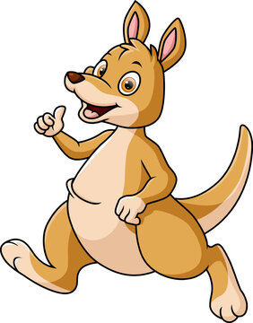 cute kangaroo cartoon on white background