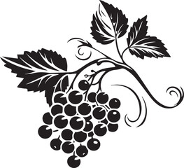 Currant Black And White, Vector Template Set for Cutting and Printing