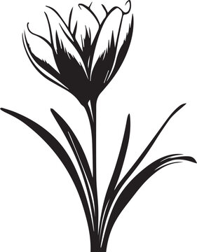 recommend clip art: Crocus Black And White, Vector Template Set for Cutting and Printing
