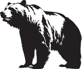 Naklejka na ściany i meble Grizzly Bear Black And White, Vector Template Set for Cutting and Printing