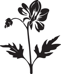 Monkshood Black And White, Vector Template Set for Cutting and Printing