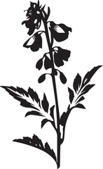 Monkshood Black And White, Vector Template Set for Cutting and Printing