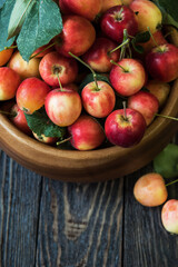 Fresh harvest of apples an a wooden background, nature fruit concept