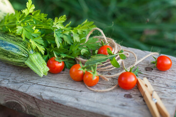 harvest of vegetables and greens in a garden on wood background