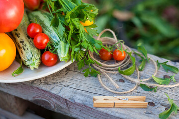 harvest of vegetables and greens in a garden on wood background
