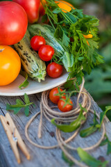 harvest of vegetables and greens in a garden on wood background
