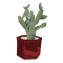 Cactus en matera sin fondo, ilustracion digital © Nicole