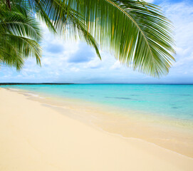 Naklejka na ściany i meble Beautiful caribbean sea and green palm leaves . Sommer ocean landscape as background.