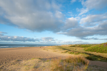 Fototapeta premium Santa Isabel de La Pedrera beach in the Department of Rocha in Uruguay
