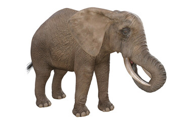 Fototapeta na wymiar Eating elephant on transparent background 3D