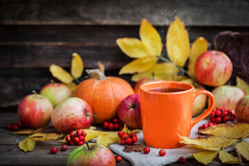 Orange mug on autumn background -fall leaves, apples, pumpkin and rowan-berry