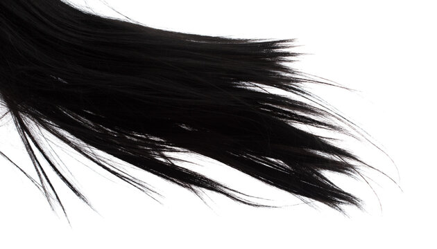 Long Straight Wig Hair Style Fly Fall Explosion. Black Woman Wig Wave Hair Float In Mid Air. Straight Black Curl Wig Hair Wind Blow Cloud Throw. White Background Isolated High Speed Freeze Motion