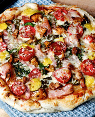 Delicious Mushrooms Pizza with Forest Chanterelles, Bacon, Tomatoes, Basil and Cheese on Blue Napkin Cross Section on Wooden background