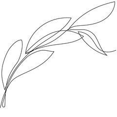 Skin care concept. Landing page template. Morning routine. Bath time. Organic products for scrubbing and body skin care with natural herbal skin care products, top view. Vector illustration