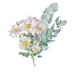 Watercolor chrysanthemum daisy chamomile with green leaves and eucalyptus isolated on white background. Hand-drawn summer bouquet with flowers for florist. Clipart for celebration wedding wrapping