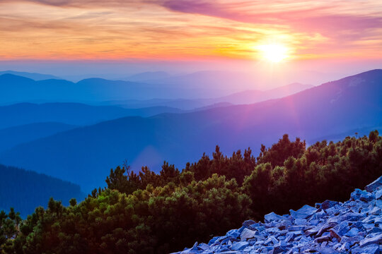 Colorful sunset or sunrise with sunshine and clouds above blue misty mountain silhouettes. Fir bushes and stones on the hill side. Horizon skyline panorama landscape with mountains.