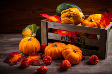 Pumpkins for Thanksgiving and  Halloween
